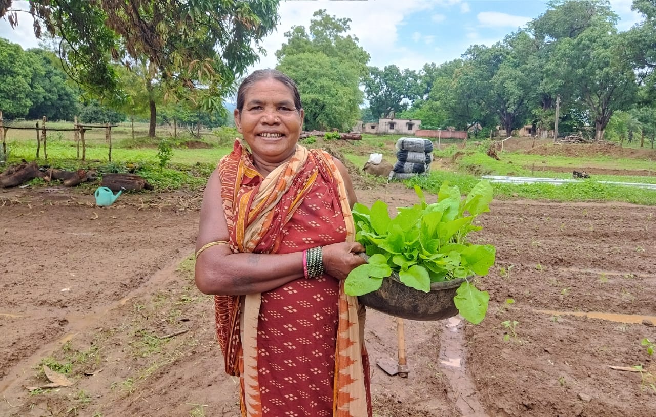 Nutrition Gardens in Rural Villages - Holy Earth Trust